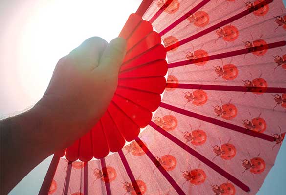 GBO_Japan Heatstroke insurance-image