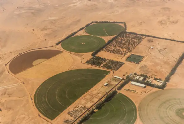 GBO_Desert