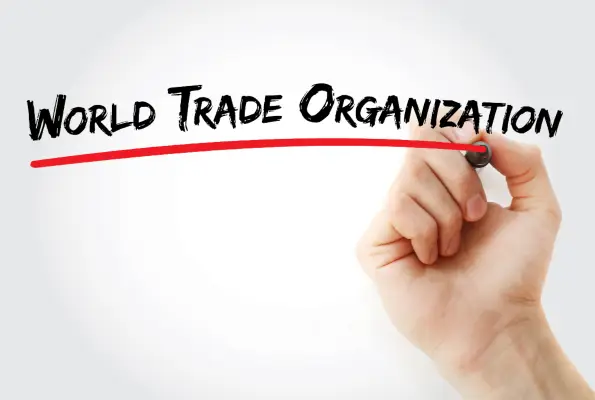 GBO_WTO