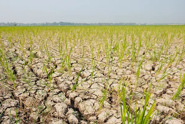 GBO_El Nino